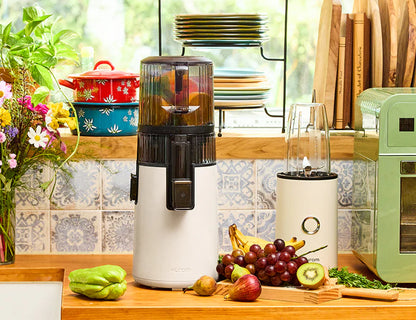 Hurom Slow Juicer H70-ST Svart-Scandikitchen