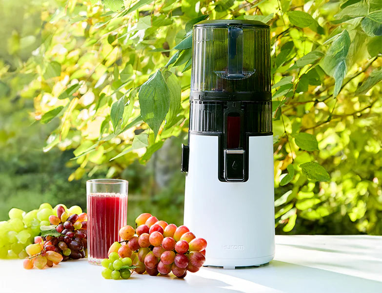Hurom Slow Juicer H70-ST Vit-Scandikitchen