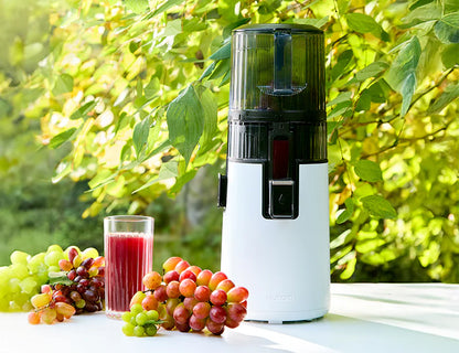 Hurom Slow Juicer H70-ST Vit-Scandikitchen
